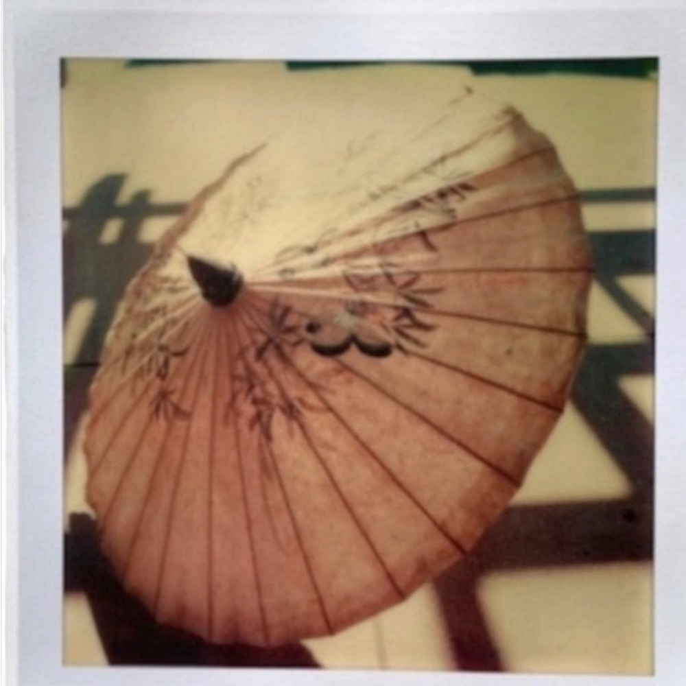 Parasol 8x10 Art Print Original Photography Professional Gift Decor Wall - Picture 2 of 5